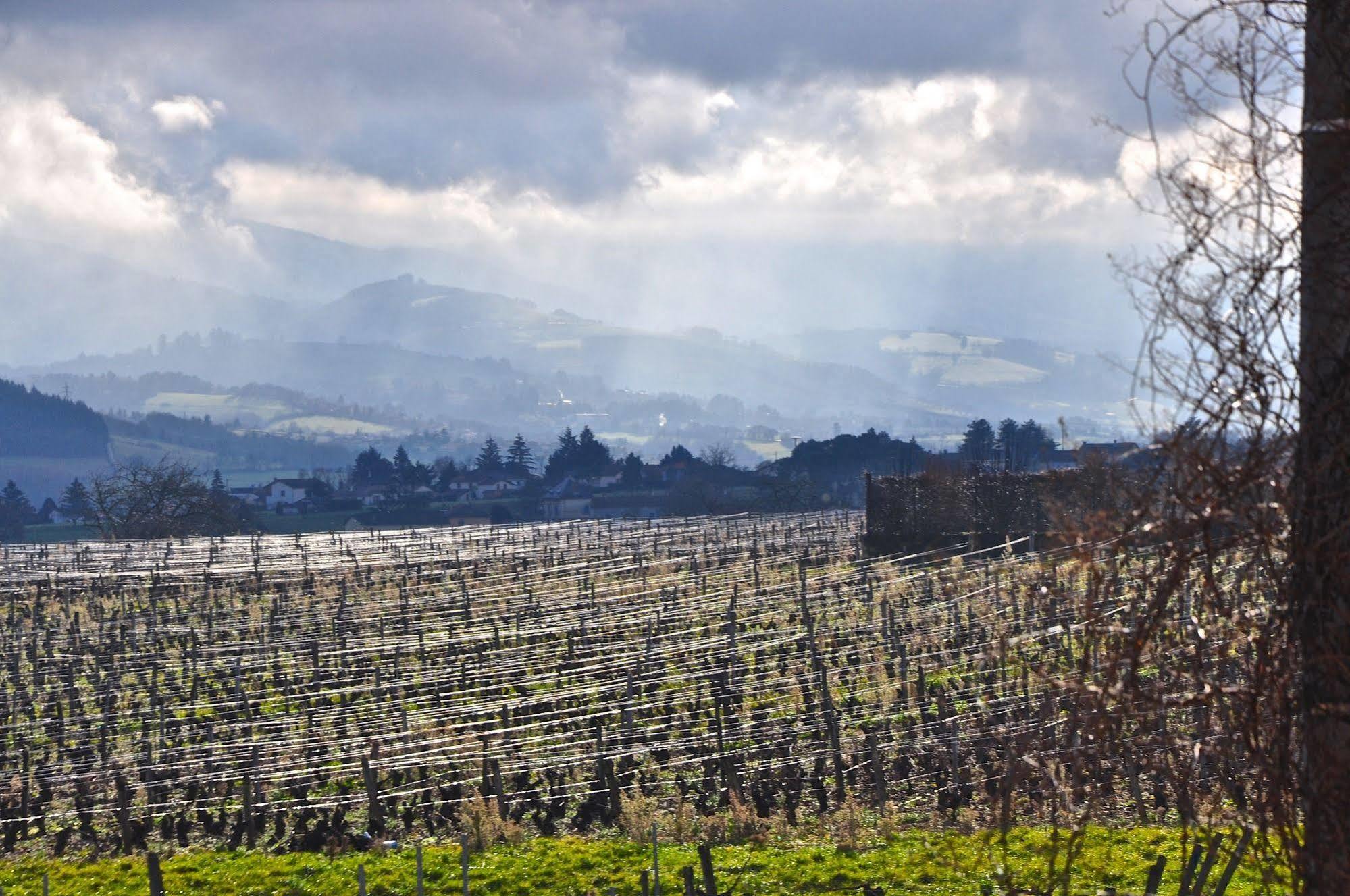 Le Clos Du Cher En Beaujolais Saint-Germain-Nuelles Bagian luar foto