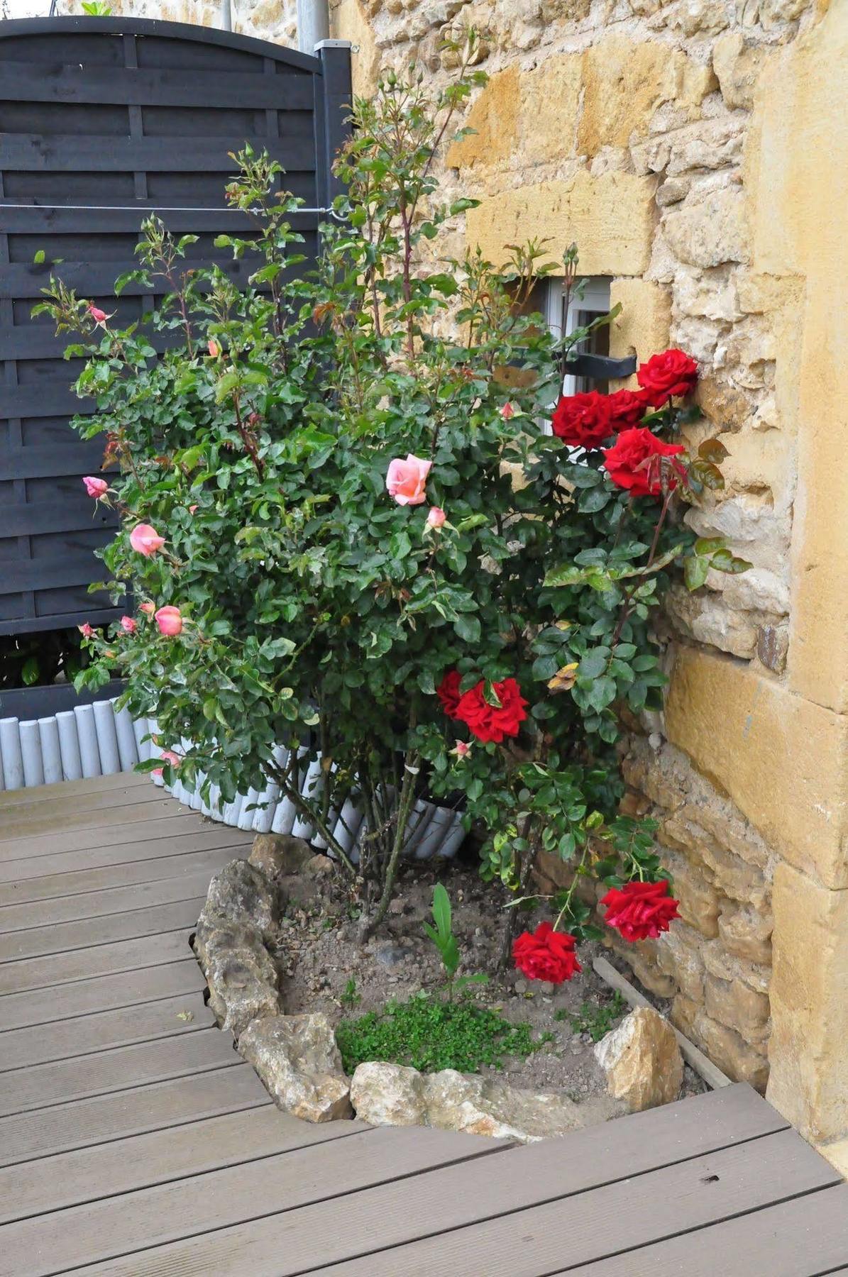 Le Clos Du Cher En Beaujolais Saint-Germain-Nuelles Bagian luar foto
