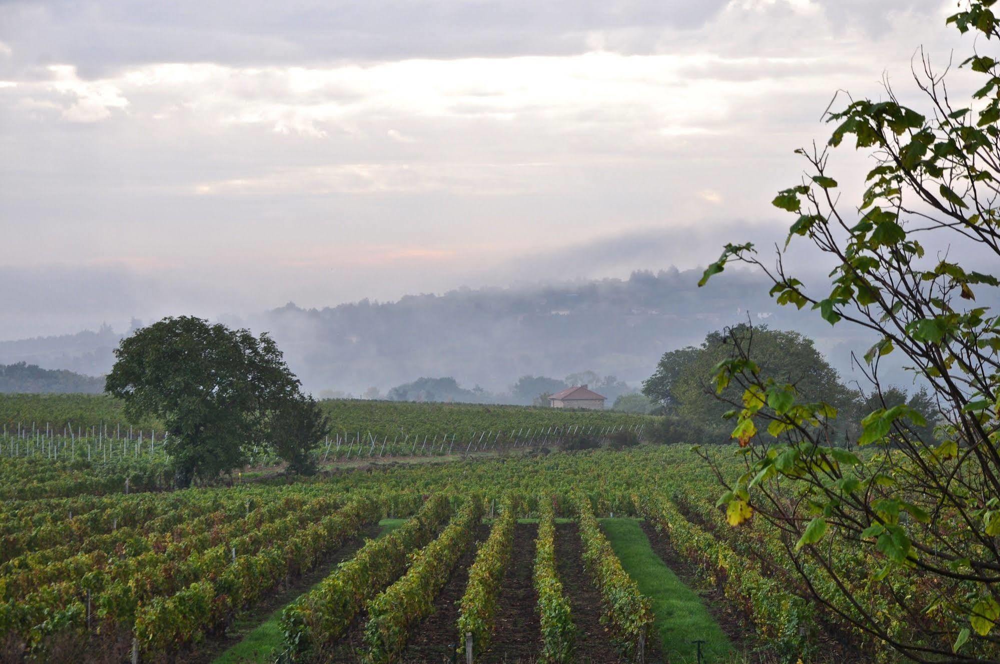 Le Clos Du Cher En Beaujolais Saint-Germain-Nuelles Bagian luar foto